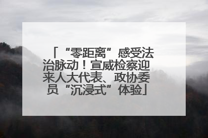 “零距离”感受法治脉动！宣威检察迎来人大代表、政协委员“沉浸式”体验