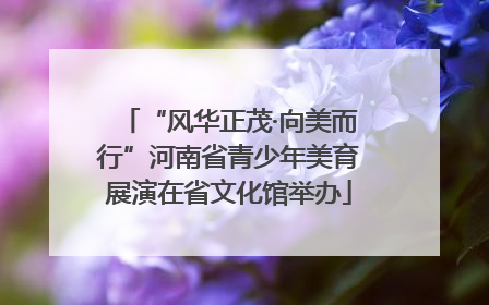 “风华正茂·向美而行”河南省青少年美育展演在省文化馆举办
