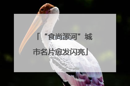 “食尚漯河”城市名片愈发闪亮