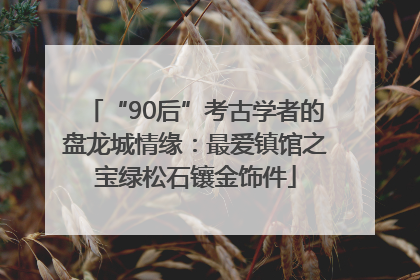 “90后”考古学者的盘龙城情缘：最爱镇馆之宝绿松石镶金饰件