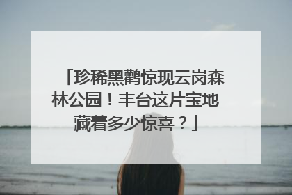 珍稀黑鹳惊现云岗森林公园！丰台这片宝地藏着多少惊喜？