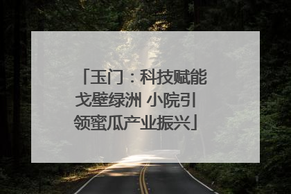玉门：科技赋能戈壁绿洲 小院引领蜜瓜产业振兴