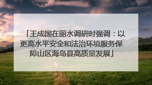 王成国在丽水调研时强调：以更高水平安全和法治环境服务保障山区海岛县高质量发展
