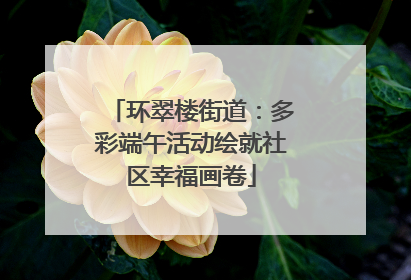 环翠楼街道：多彩端午活动绘就社区幸福画卷