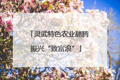 灵武特色农业翻腾振兴“致富浪”