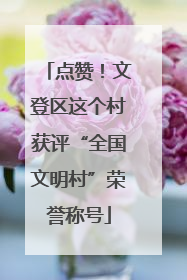 点赞！文登区这个村获评“全国文明村”荣誉称号