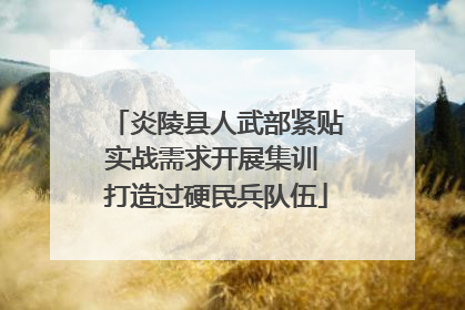 炎陵县人武部紧贴实战需求开展集训 打造过硬民兵队伍