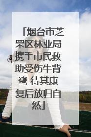 烟台市芝罘区林业局携手市民救助受伤牛背鹭 待其康复后放归自然