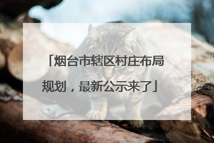 烟台市辖区村庄布局规划，最新公示来了
