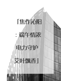 焦作沁阳：端午情浓 电力守护艾叶飘香