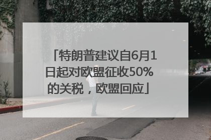 特朗普建议自6月1日起对欧盟征收50%的关税，欧盟回应