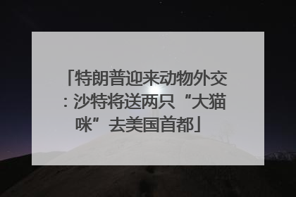 特朗普迎来动物外交：沙特将送两只“大猫咪”去美国首都
