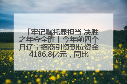 牢记嘱托显担当 决胜之年夺全胜丨今年前四个月辽宁招商引资到位资金4186.8亿元，同比增长17.4%