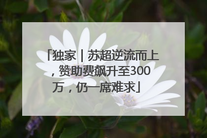 独家｜苏超逆流而上，赞助费飙升至300万，仍一席难求