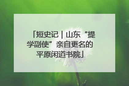 短史记｜山东“提学副使”亲自更名的平原闲道书院