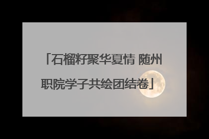 石榴籽聚华夏情 随州职院学子共绘团结卷