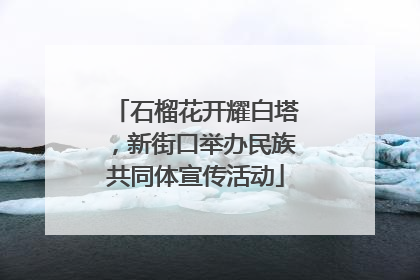 石榴花开耀白塔，新街口举办民族共同体宣传活动