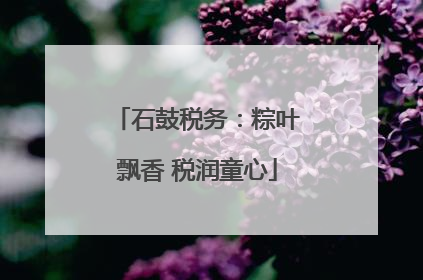 石鼓税务：粽叶飘香 税润童心