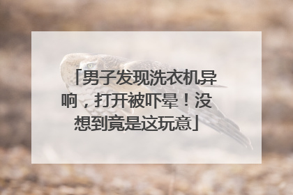 男子发现洗衣机异响，打开被吓晕！没想到竟是这玩意