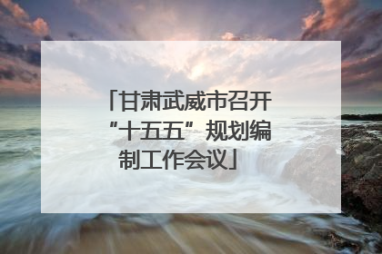 甘肃武威市召开“十五五”规划编制工作会议