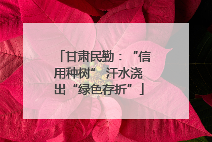 甘肃民勤：“信用种树” 汗水浇出“绿色存折”