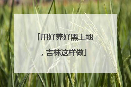 用好养好黑土地，吉林这样做