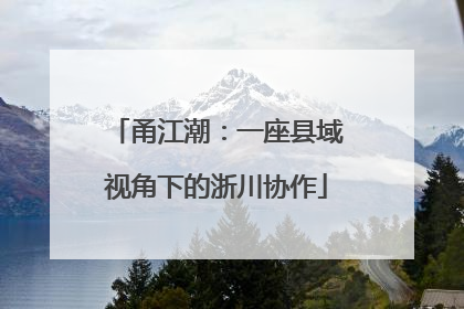 甬江潮：一座县域视角下的浙川协作
