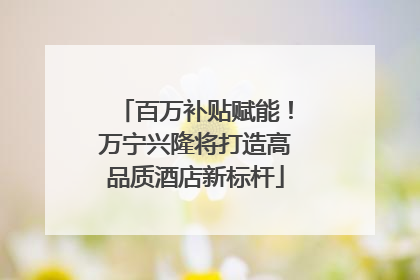 百万补贴赋能！万宁兴隆将打造高品质酒店新标杆