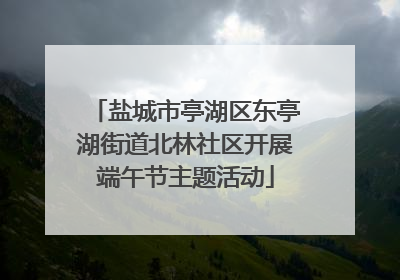盐城市亭湖区东亭湖街道北林社区开展端午节主题活动