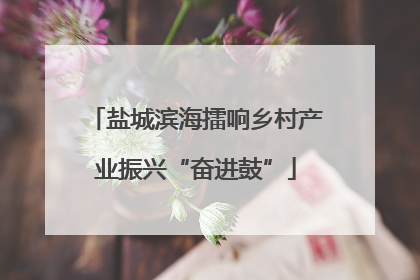 盐城滨海擂响乡村产业振兴“奋进鼓”