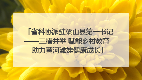 省科协派驻梁山县第一书记——三措并举 赋能乡村教育 助力黄河滩娃健康成长