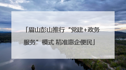 眉山彭山推行“党建+政务服务”模式 精准惠企便民
