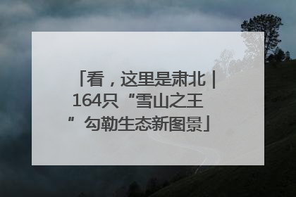 看，这里是肃北｜164只“雪山之王”勾勒生态新图景