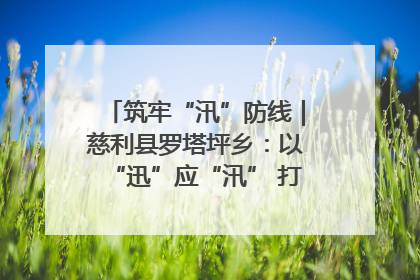 筑牢“汛”防线｜慈利县罗塔坪乡：以“迅”应“汛” 打赢暴雨防御战