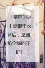 筝鸣时评丨夏粮丰收背后，是潍坊全城的守护