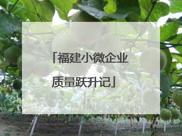 福建小微企业质量跃升记
