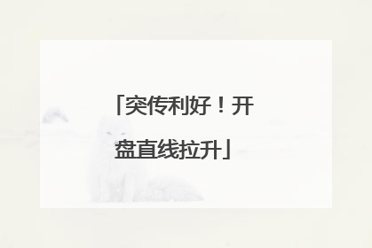 突传利好！开盘直线拉升