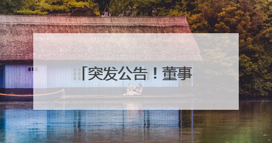 突发公告！董事长、董秘、副总经理集体辞职！