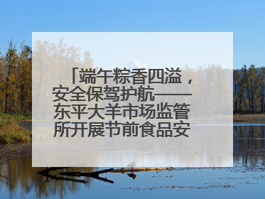 端午粽香四溢，安全保驾护航——东平大羊市场监管所开展节前食品安全专项检查