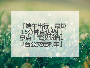 端午出行，最短15分钟直达热门景点！武汉新增12台公交定制车
