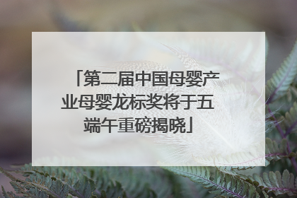 第二届中国母婴产业母婴龙标奖将于五端午重磅揭晓