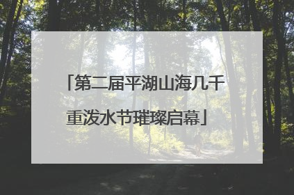 第二届平湖山海几千重泼水节璀璨启幕