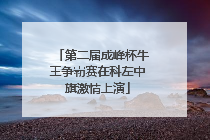 第二届成峰杯牛王争霸赛在科左中旗激情上演