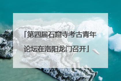 第四届石窟寺考古青年论坛在洛阳龙门召开