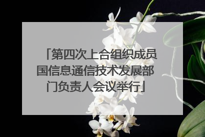 第四次上合组织成员国信息通信技术发展部门负责人会议举行