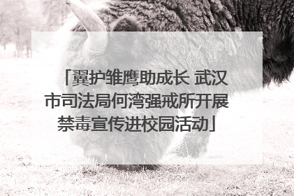 翼护雏鹰助成长 武汉市司法局何湾强戒所开展禁毒宣传进校园活动