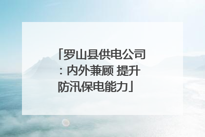 罗山县供电公司：内外兼顾 提升防汛保电能力