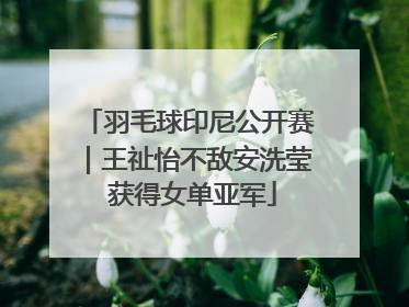 羽毛球印尼公开赛｜王祉怡不敌安洗莹 获得女单亚军