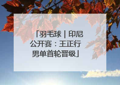 羽毛球｜印尼公开赛：王正行男单首轮晋级