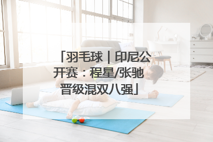 羽毛球｜印尼公开赛：程星/张驰晋级混双八强